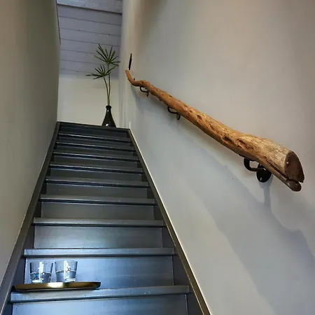 The Guest - Uilenburg